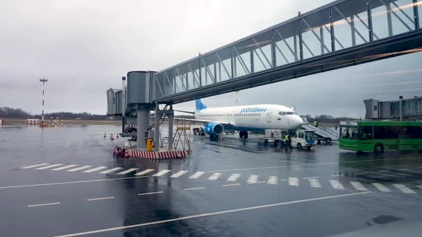 Pobeda airline plane in international airport Vnukov — Stock Video