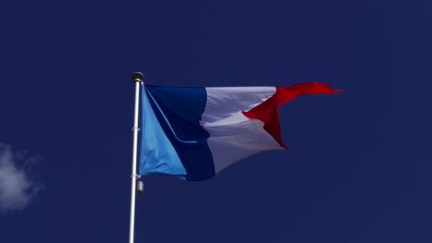 Bandeira da frança acenando — Vídeo de Stock