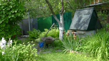 Kırsal Tarımsal Mülkiyet Eski Su Kuyusu