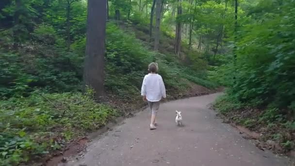 Kvinna och hund promenader i parken — Stockvideo