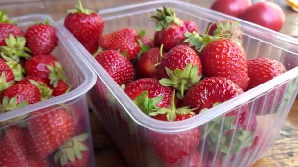 Fresh Strawberry Dolly footage — стоковое видео