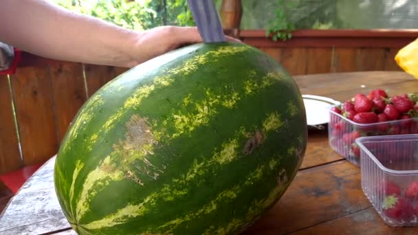 Scheiben rote Wassermelone — Stockvideo