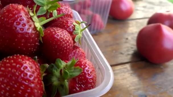 Imagens de bonecas de morango frescas — Vídeo de Stock