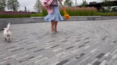 Park 'ta Köpekle Birlikte Kadın