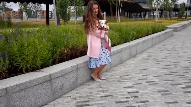 Mujer junto con perro en parque — Vídeos de Stock