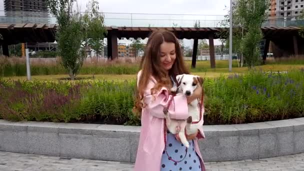 Kobieta razem z psem w parku — Wideo stockowe