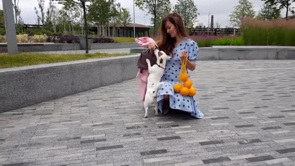 Mujer junto con perro en parque — Vídeo de stock