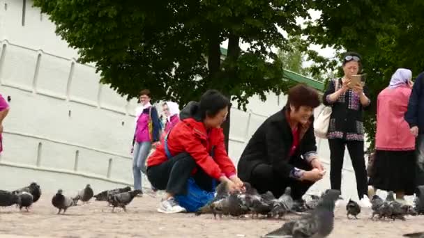 Chinese toeristen voeden duiven op het dorpsplein — Stockvideo
