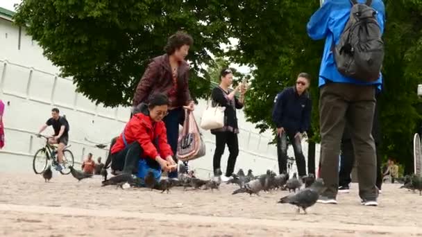 Turistas chinos alimentan palomas en la plaza de la ciudad — Vídeos de Stock