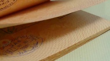 Pullar ve Vizeler ile Pasaport Ile Flipping