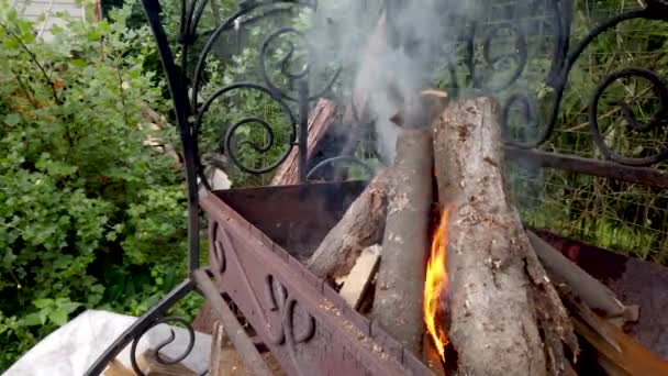 Feuer im Grill — Stockvideo