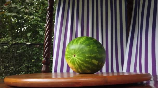 Rotation der roten Wassermelone — Stockvideo