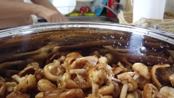Лесные грибы на кухне — стоковое видео