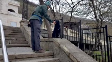 Bir adam kulağında çiple başıboş bir köpeği okşuyor.