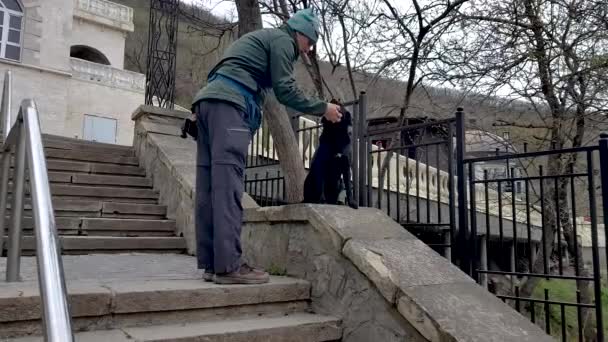 Мужчина гладит бродячую собаку с чипом в ухе — стоковое видео