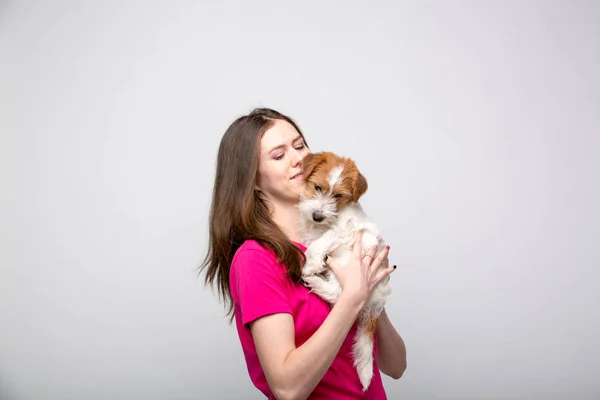Terrier köpek yavrusu ile güzel kız. Stüdyo görüntüsü — Stok fotoğraf