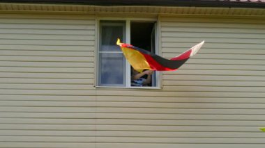 Evdeki pencerede bayrak sallayan gençler