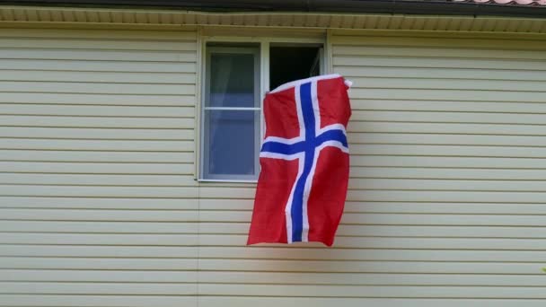 Jeunes agitant un drapeau dans une fenêtre à la maison — Video