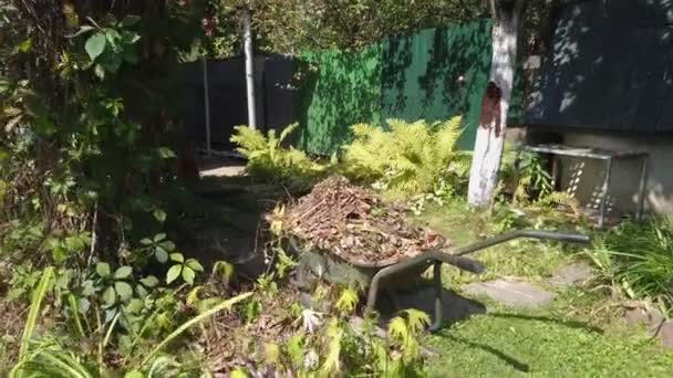 Kruiwagen met oude bladeren in een verlaten tuin — Stockvideo