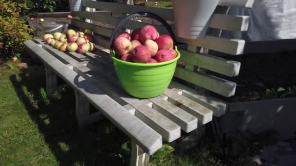 Manzanas rojas frescas en un cubo de pie en un banco de plástico — Vídeos de Stock