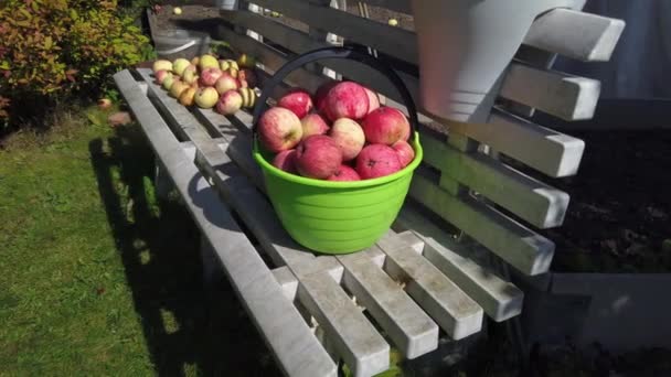 Färska röda äpplen i en hink stående på en plast bänk — Stockvideo