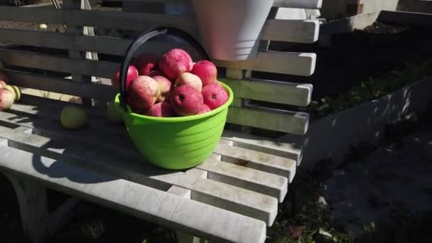 Manzanas rojas frescas en un cubo de pie en un banco de plástico — Vídeos de Stock