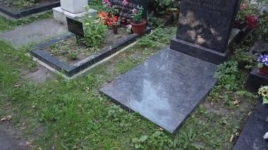 Donskoe Mezarlığı'nda Yürüyüş