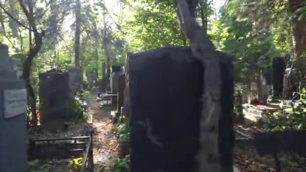 Donskoe Mezarlığı'nda Yürüyüş — Stok video