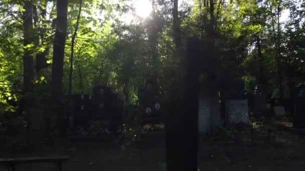Wandelen op de Donskoe Cemetery — Stockvideo