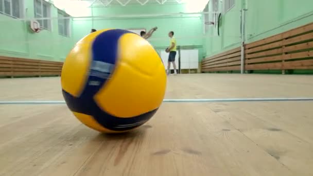 Yepyeni Mikasa topu, resmi iki renkli top, voleybol federasyonunun resmi topu — Stok video