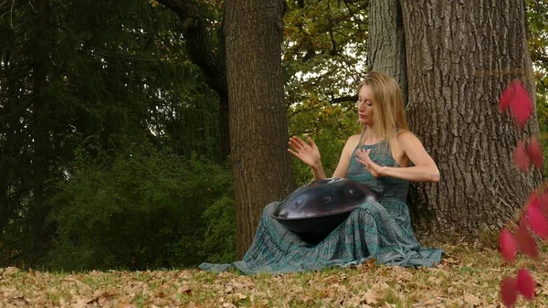 美しい若い女性は、秋の公園でハングを果たしています — ストック写真