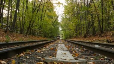 Şehir parkı ile Modern Moskova Tramvay Sürmek.