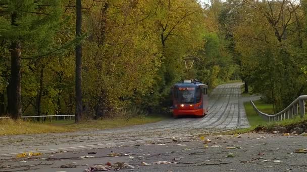 Современный московский трамвай проезжает через городской парк . — стоковое видео