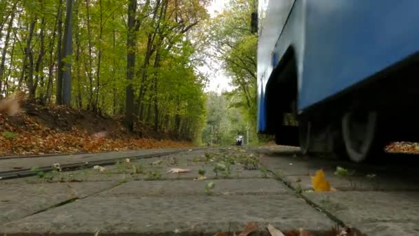 Moderno tranvía de Moscú paseos a través del parque de la ciudad . — Vídeos de Stock