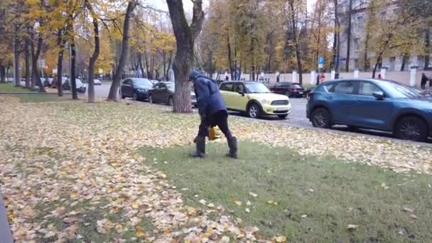 Pracownik z dmuchawy liści na ulicy — Wideo stockowe