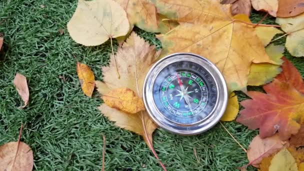 Kompass im Wald nutzen — Stockvideo