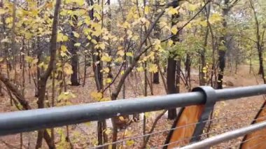 Park alanındaki modern garaj yolu