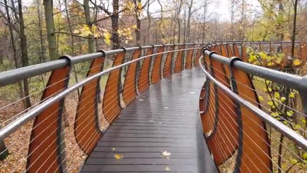 Caminhada moderna no parque — Vídeo de Stock