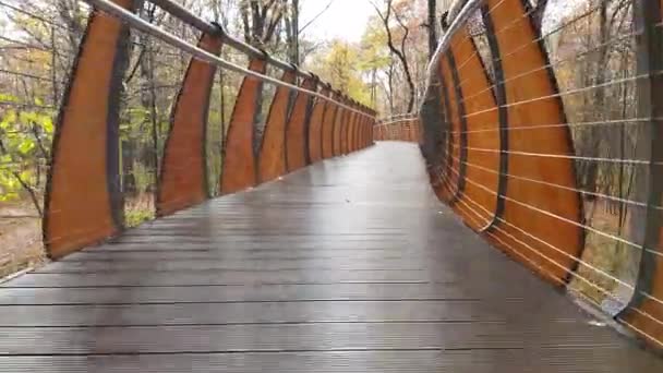 Camino de entrada moderno en parque — Vídeos de Stock