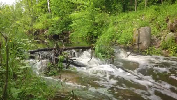Barrage naturel dans une petite rivière 