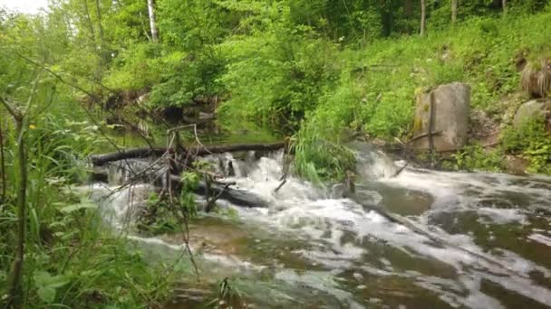 Natuurlijke dam in een riviertje — Stockvideo