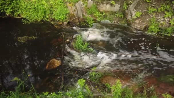 Barragem natural em um pequeno rio — Vídeo de Stock