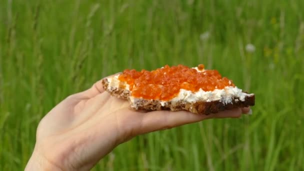 Snijd van ambachtelijk brood met rode kaviaar — Stockvideo