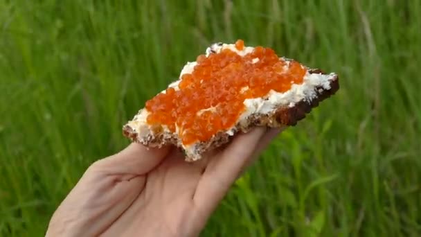 Rebanada de pan artesanal con caviar rojo — Vídeos de Stock