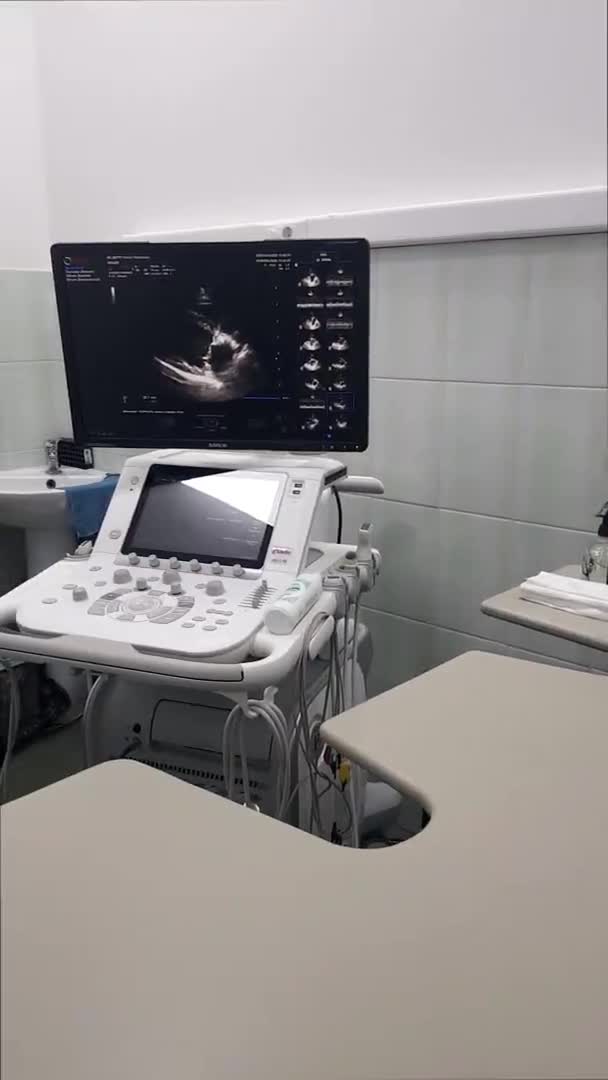 Moskova, Rusya 'daki veteriner kliniğinde köpek kalbi ultrason makinesinde.. — Stok video