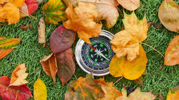 Kompass Herbstwald Nutzen — Stockfoto