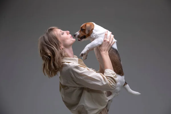 可愛いです女性保持していますジャックRussell Terrier子犬で彼女の顔 — ストック写真