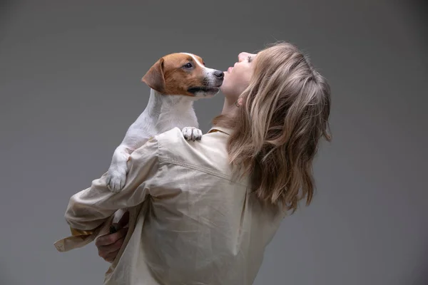 Mujer Bonita Sostiene Jack Russell Terrier Cachorro Hombro —  Fotos de Stock