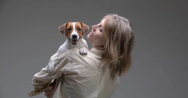 Mujer Bonita Sostiene Jack Russell Terrier Cachorro Hombro — Foto de Stock