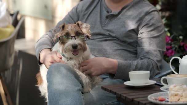 Un homme caressant un petit chien allongé sur ses genoux — Video